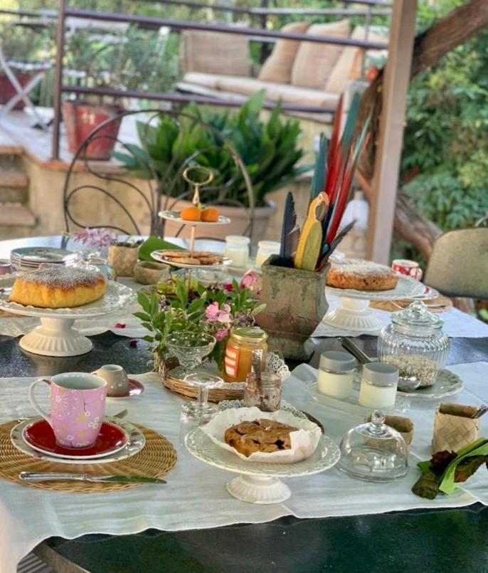 Ca'Bevilacqua Bed&Breakfast Bertinoro Luaran gambar