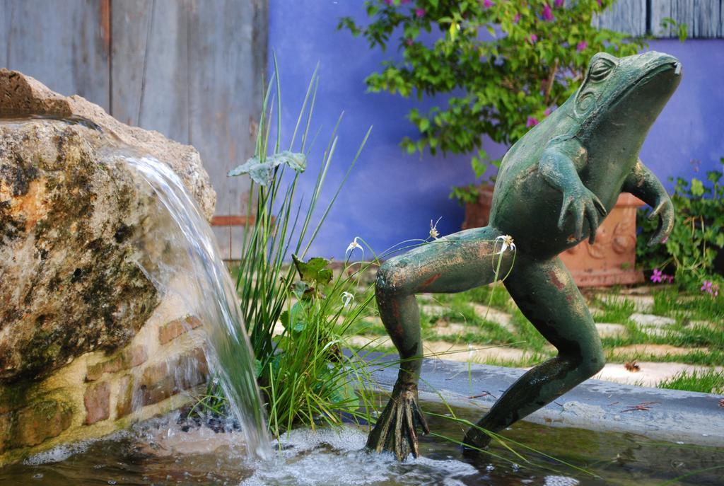 Ca'Bevilacqua Bed&Breakfast Bertinoro Luaran gambar