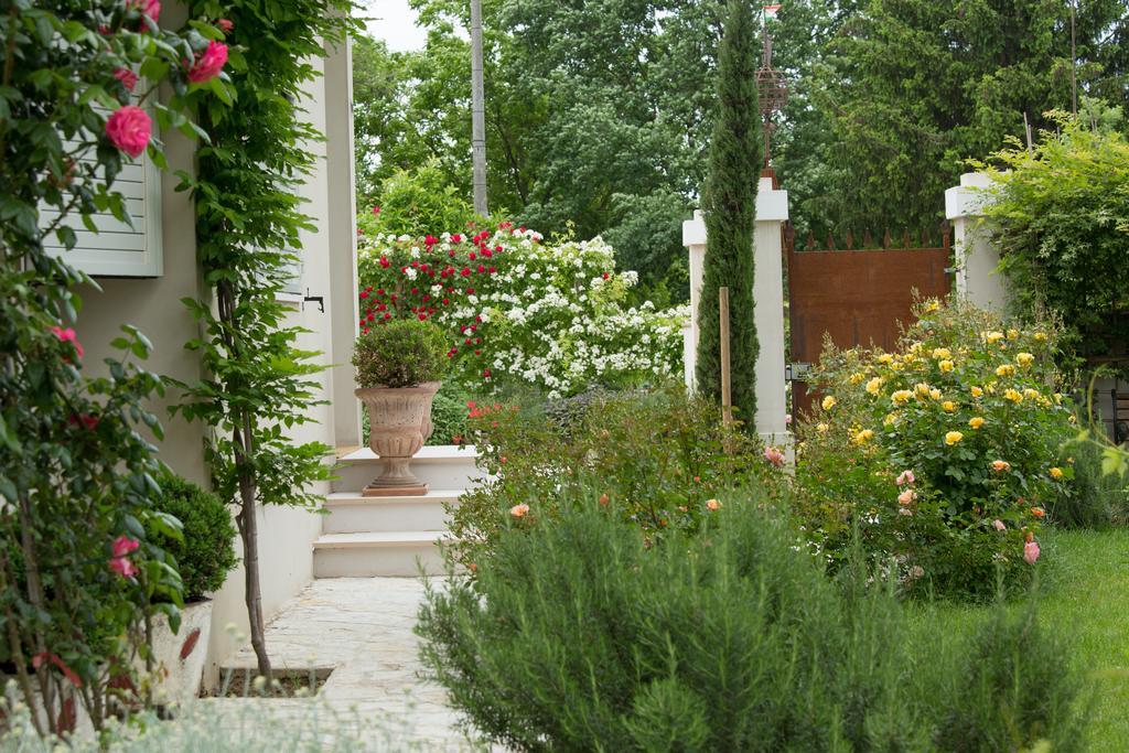 Ca'Bevilacqua Bed&Breakfast Bertinoro Luaran gambar