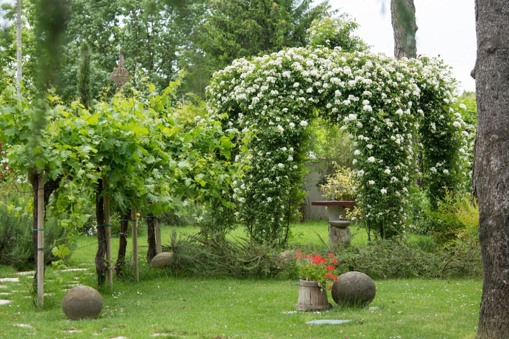 Ca'Bevilacqua Bed&Breakfast Bertinoro Luaran gambar