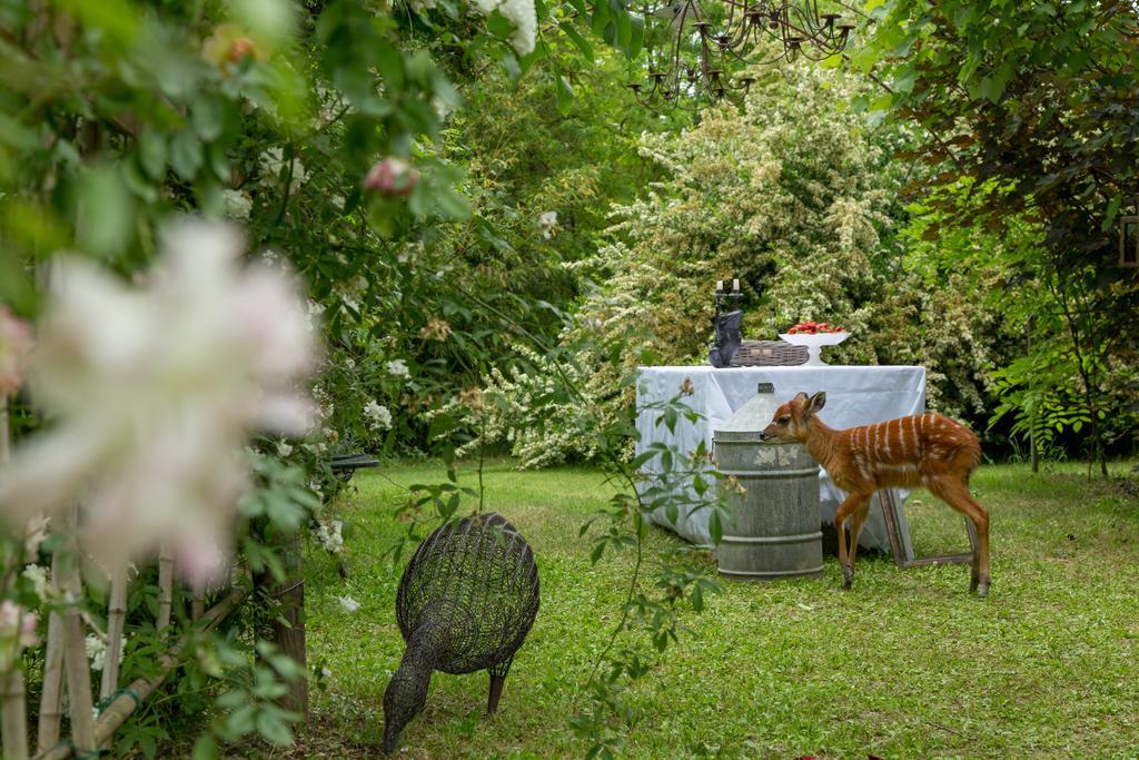 Ca'Bevilacqua Bed&Breakfast Bertinoro Luaran gambar