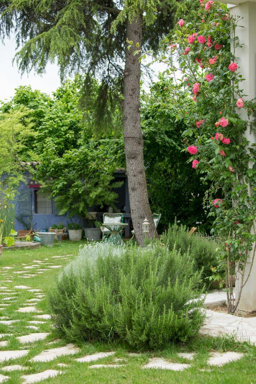 Ca'Bevilacqua Bed&Breakfast Bertinoro Luaran gambar