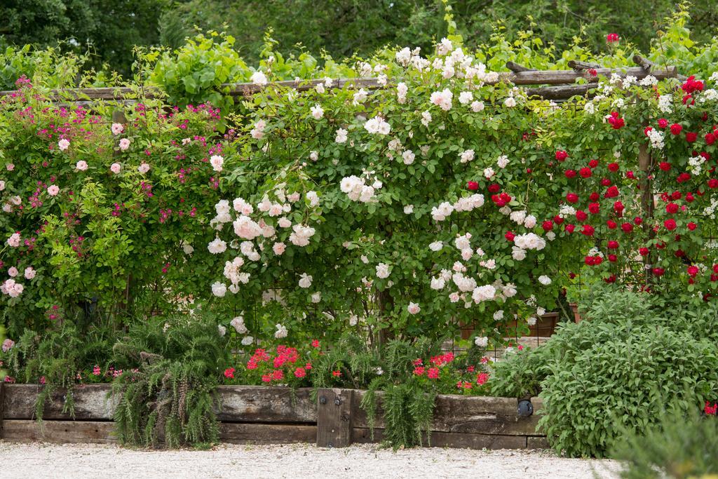 Ca'Bevilacqua Bed&Breakfast Bertinoro Luaran gambar
