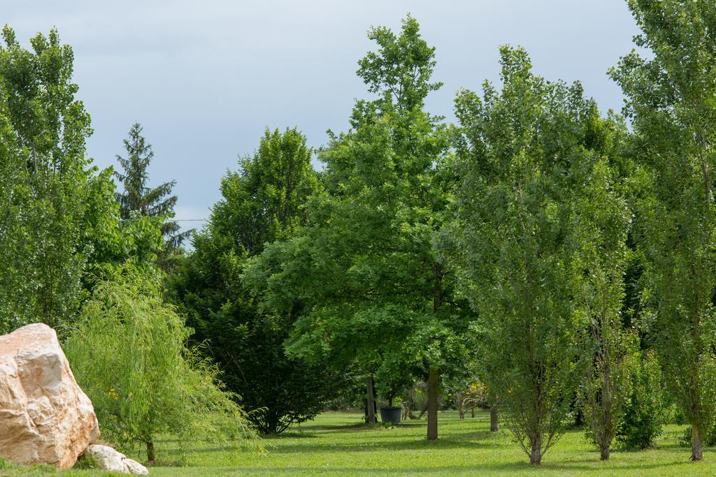 Ca'Bevilacqua Bed&Breakfast Bertinoro Luaran gambar