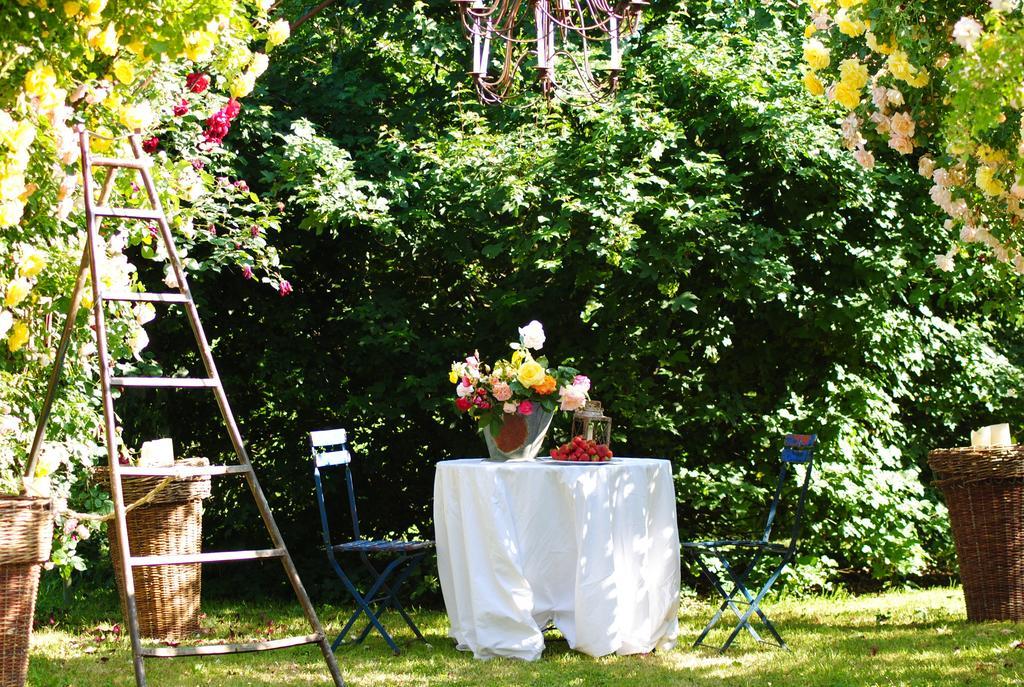Ca'Bevilacqua Bed&Breakfast Bertinoro Luaran gambar